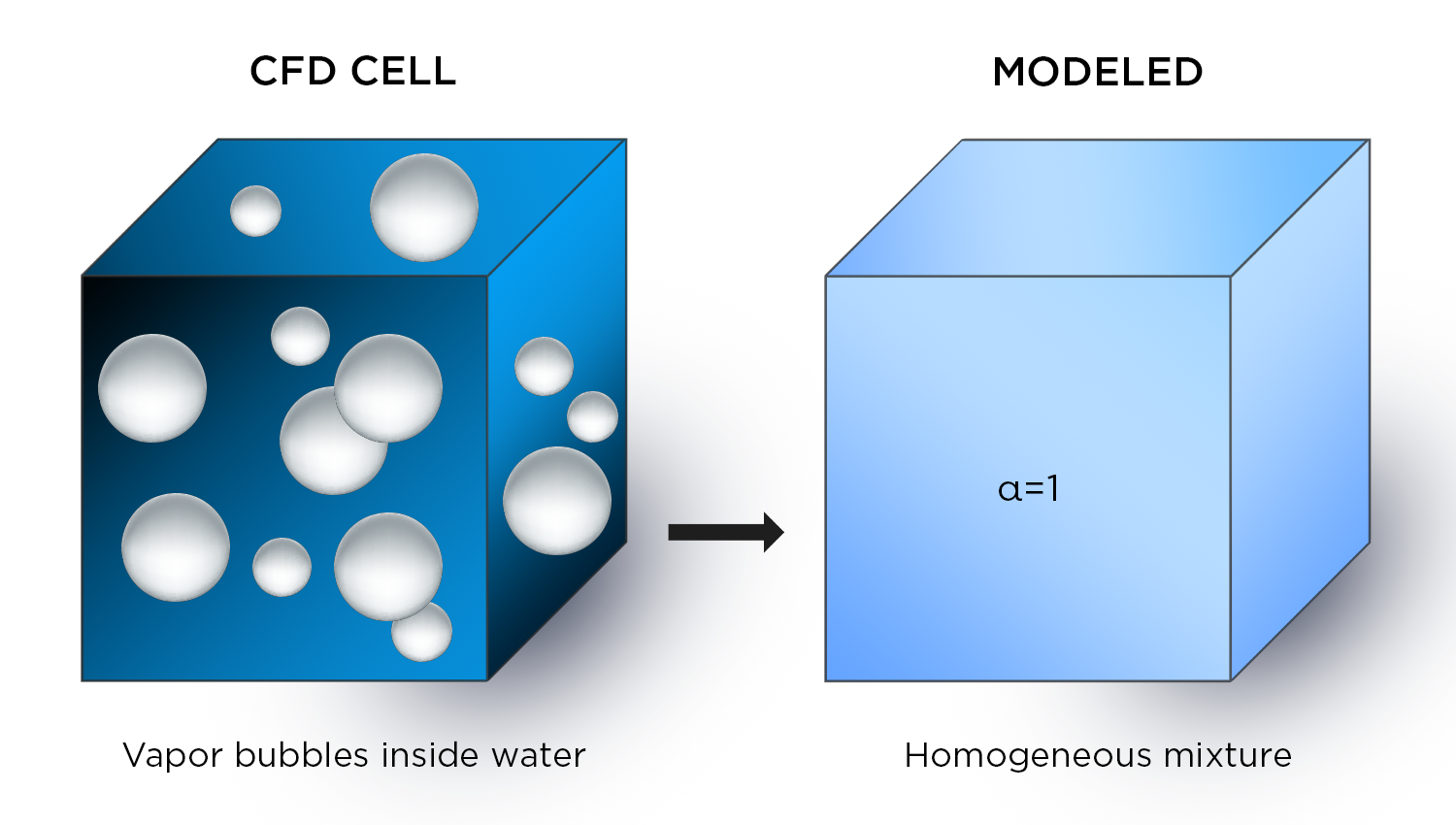 A schematic representation of how a homogenous mixture model models a single cell.